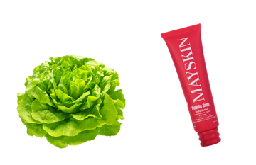 Lettuce leaf extract