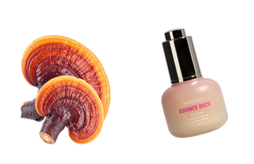 Reishi mushroom
